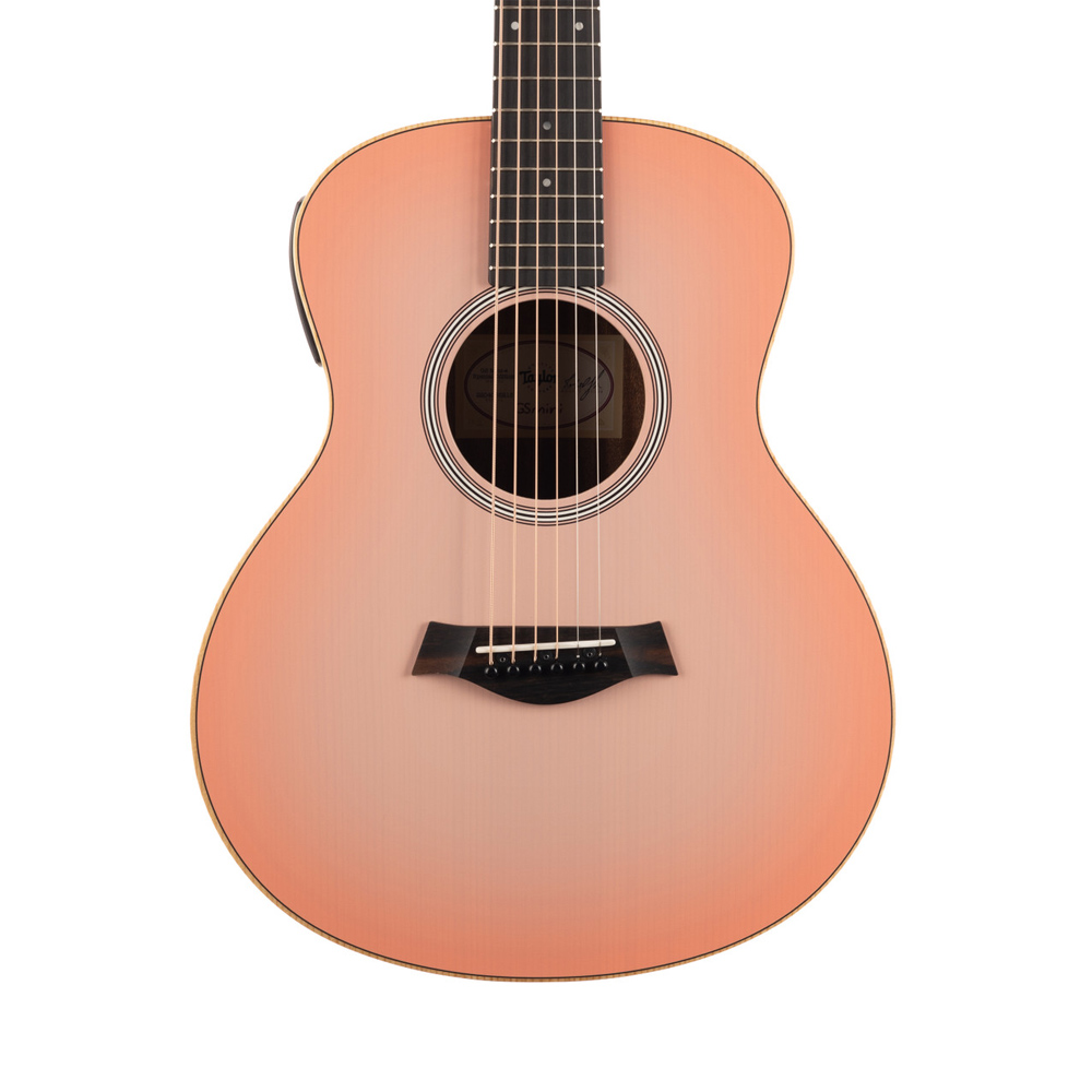 GS-Mini-e-Special-Edition-blush-paisley-5